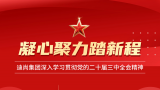 凝心聚力踏新程——迪尚集团深入学习贯彻党的二十届三中全会精神