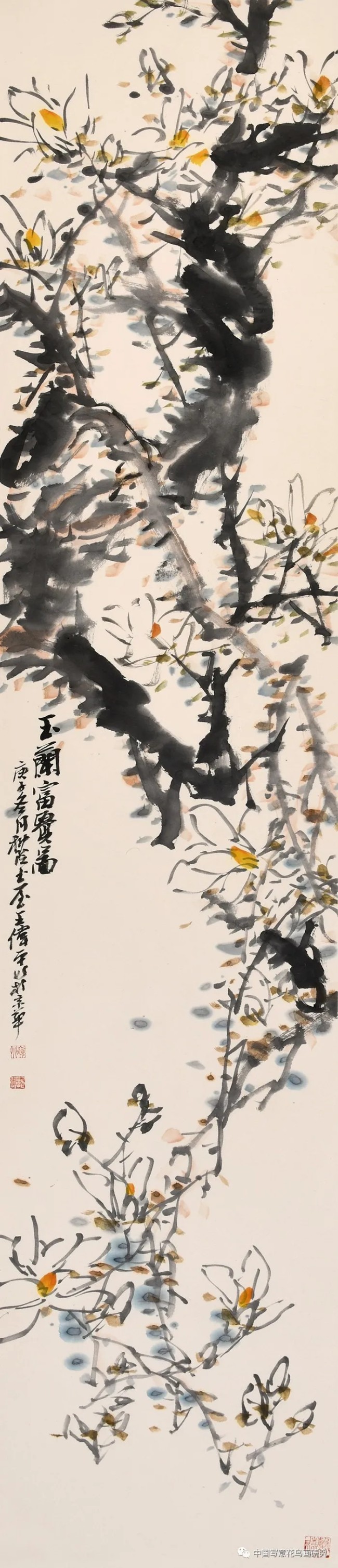 王伟平·花鸟画丨妙处全在“青藤白阳”间