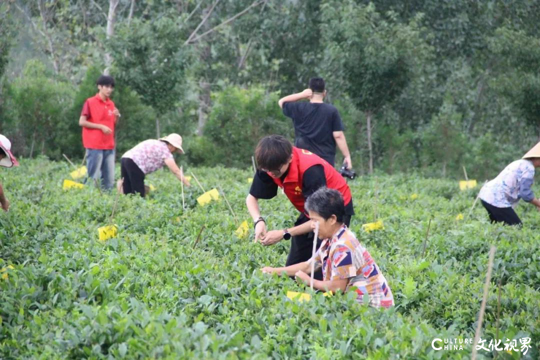 青春筑梦，挺膺担当——山东工程职业技术大学“三下乡”活动走入基层走近人民（五）