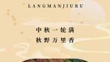 相约中秋，与爱同行 丨 济南九如山旅游度假区9家野奢民宿、30余处创艺手作馆邀您寻找秋日多巴胺