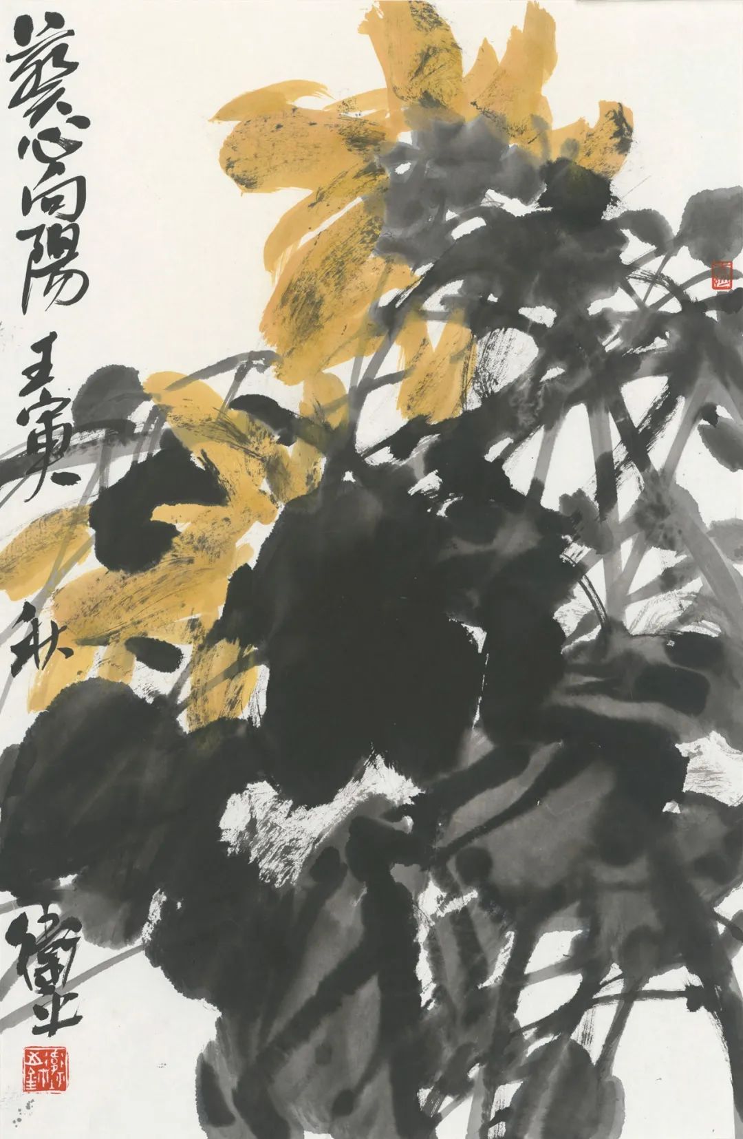 王卫平·写意花鸟画 | 含干枯于淹漫，常于俊朗率意中了无挂碍