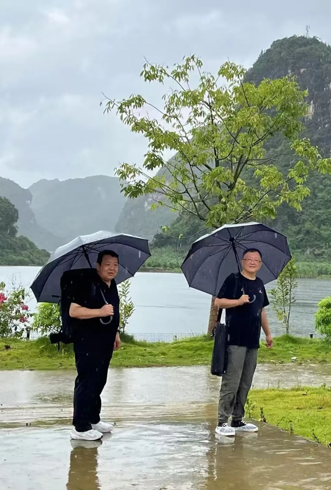 王卫平｜写广西山水新意