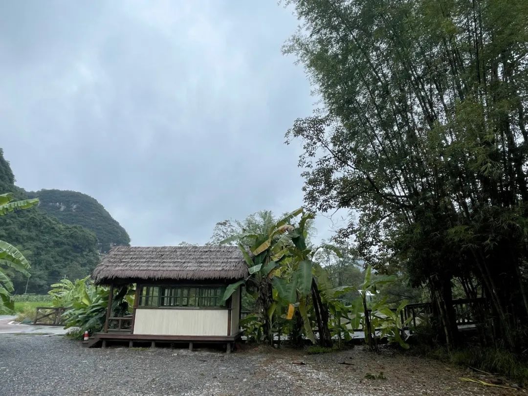 王卫平｜写广西山水新意