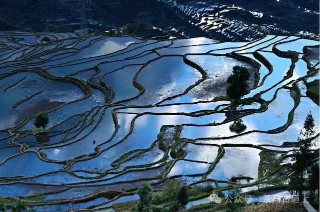 随舒建新重游广西哈尼人村落，再赏元阳梯田美景