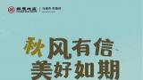 秋风有信，美好如期 | 银丰地产集团举行2024民主生活会·员工团建拓展活动