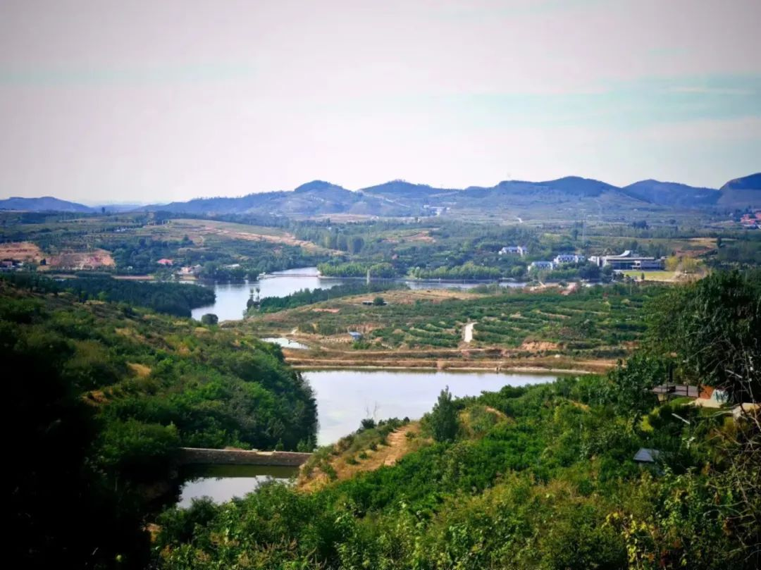 墨痕乘醉洒桃花，石上斑纹烂若霞——中国艺术研究院写意画院包洪波名家工作室赴淄博沂源桃花岛写生