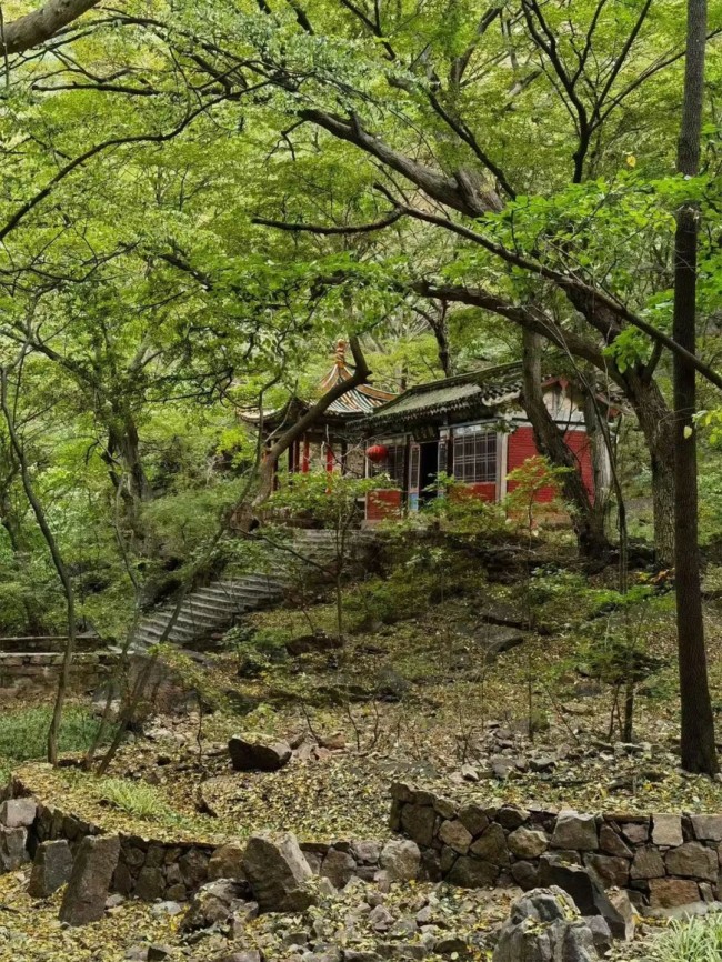 情系燕赵 笔墨抒怀——中国画名家井陉写生 | 曾先国：墨香幽韵染古村