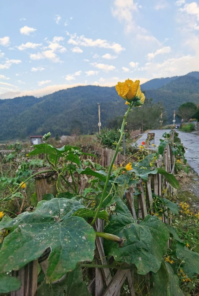 孙志刚·湖南邵阳写生之旅丨漫游上堡古国，用画笔与历史对话