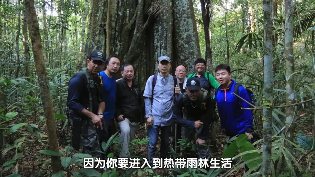 西北世家，花开京华（上）| 莫建成、莫晓松、莫睿三代人在艺术创作上的传承与创新