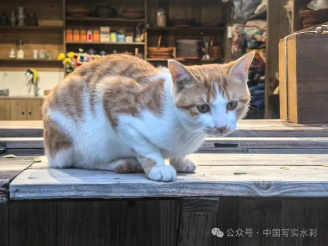 孙志纯·丽水写生 | 再探古村新喜连连，师生同窗欢聚一堂