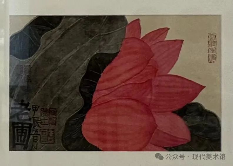 老圃·刘玉泉·康戎·伍小东 | “问花——全国花鸟画名家学术邀请展”参展画家介绍（一）