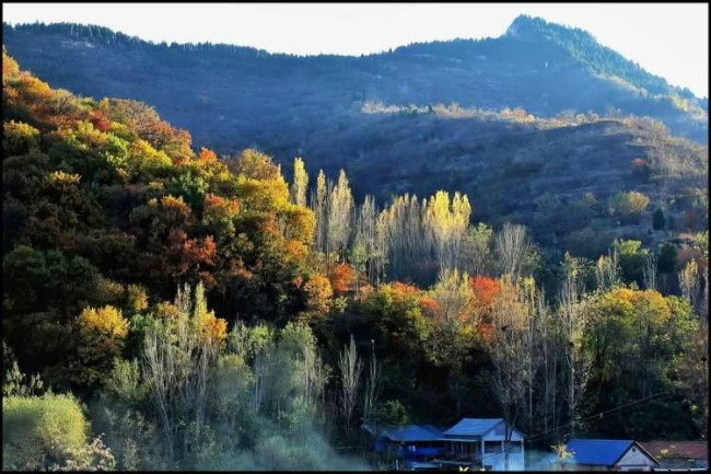 镜头中的温暖与力量——乡土峨庄的影像坚守（下）