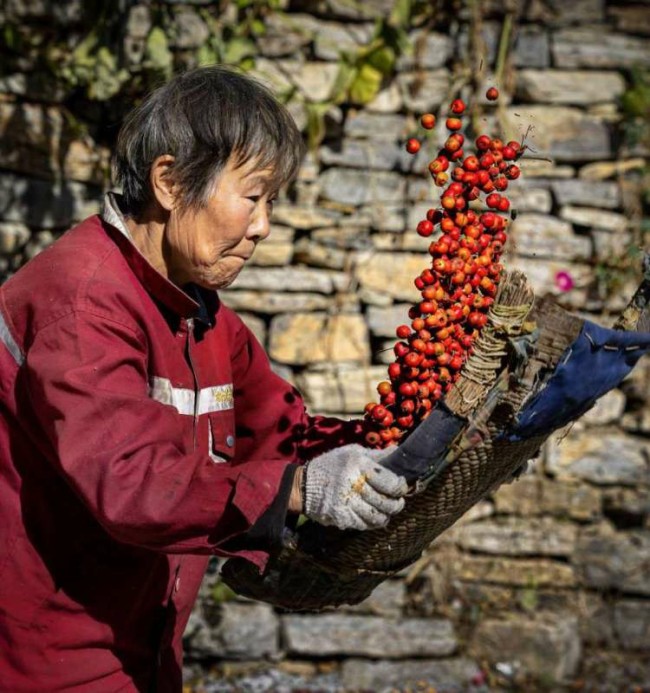 镜头中的温暖与力量——乡土峨庄的影像坚守（下）