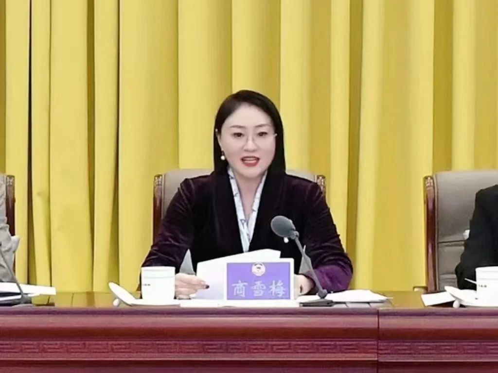 沃尔德集团总裁商雪梅代表“青春山东·界别同心汇”在山东省政协界别同心汇创建工作视频培训会上作经验分享