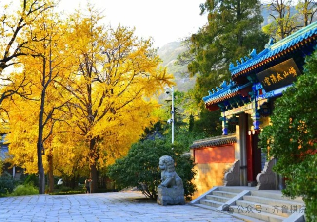 崂山论道太清手谈，半岛城市围棋公开赛今日在青岛崂山风景区举行