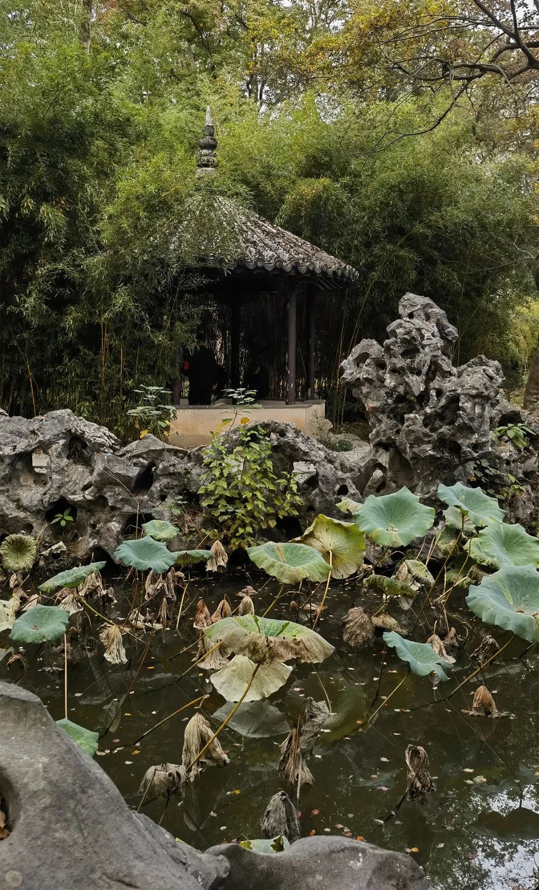 李伟·写生浙北 | 墨舞画卷，绘尽古镇风情