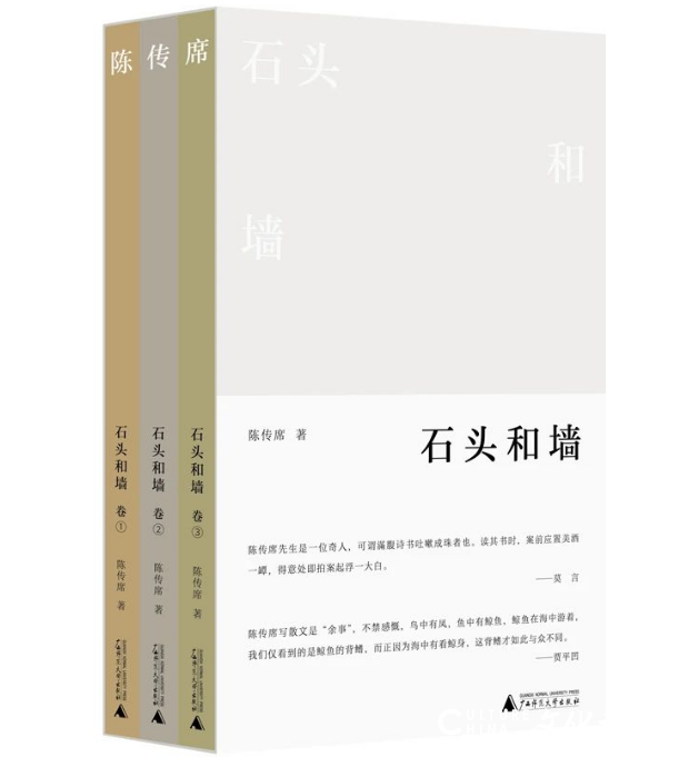 画坛点将第一书——陈传席《石头和墙》