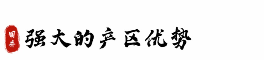 国井·国9荣获中国白酒黄淮产区最高奖——“地域标志产品”