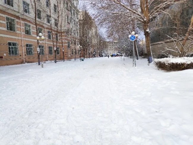 孙承民：雪城之雪一夜白