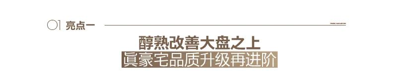 提前四个月超预期温暖呈现——济南银丰玖玺城六期上和院十大高光看点直击交付现场