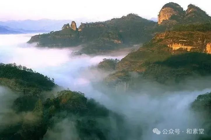 寻土之旅 | 福建师大美院姚莉芳教授带领研究生团队赴武夷山开展考察实践活动