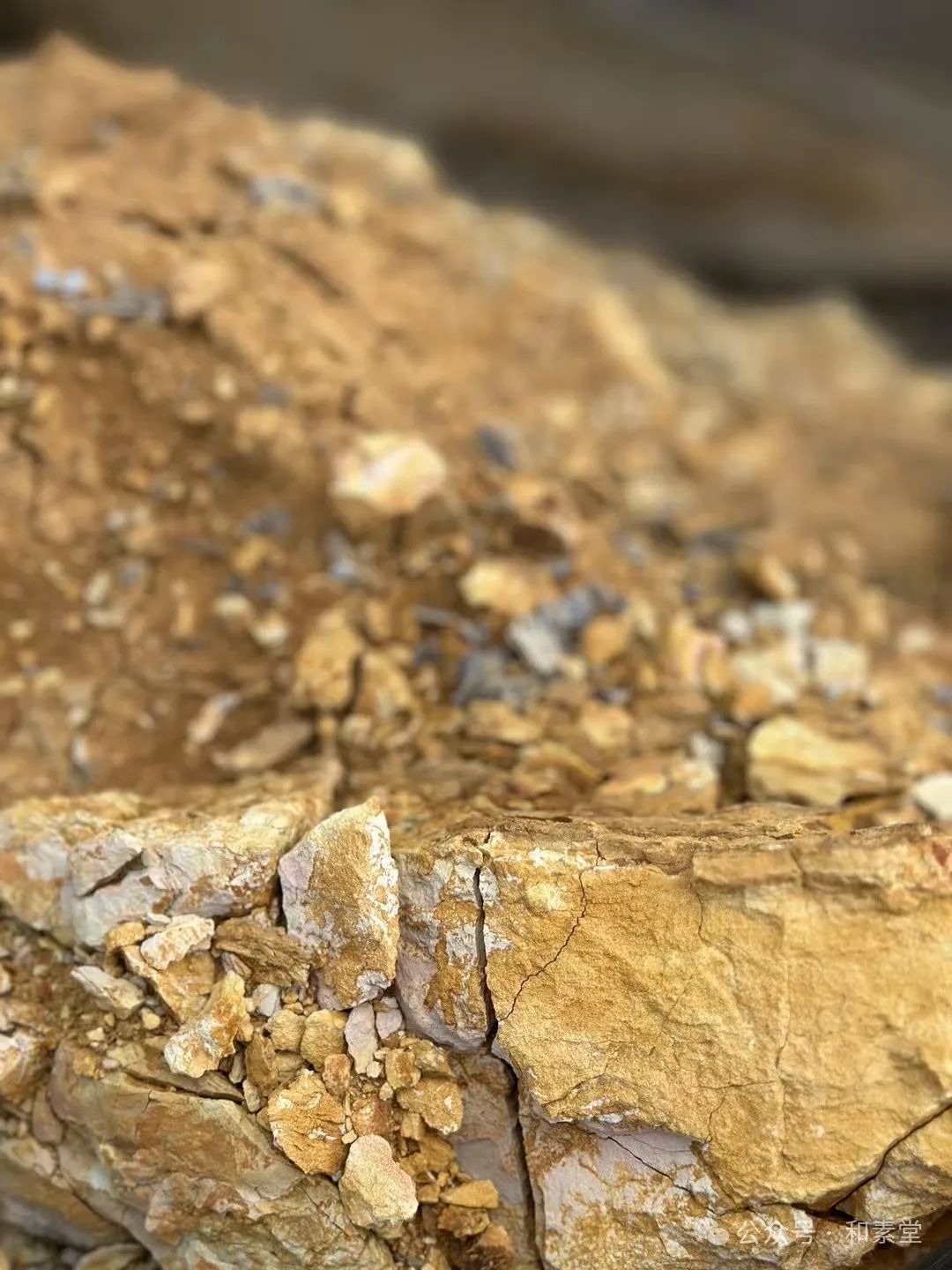 寻土之旅 | 福建师大美院姚莉芳教授带领研究生团队赴武夷山开展考察实践活动