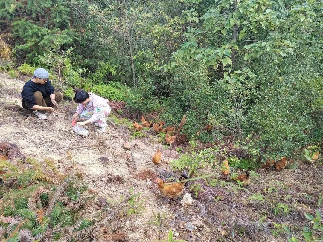 寻土之旅 | 福建师大美院姚莉芳教授带领研究生团队赴武夷山开展考察实践活动