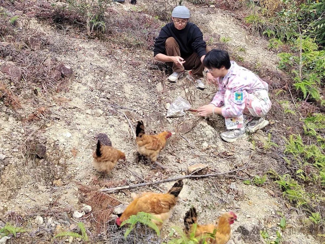 寻土之旅 | 福建师大美院姚莉芳教授带领研究生团队赴武夷山开展考察实践活动