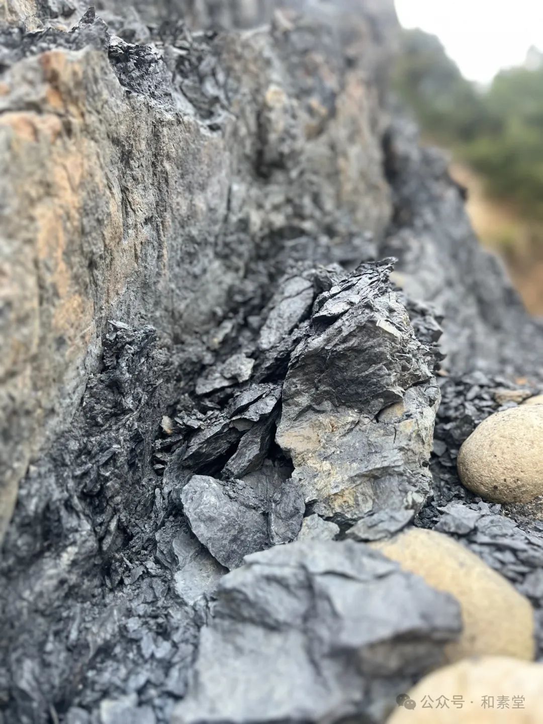 寻土之旅 | 福建师大美院姚莉芳教授带领研究生团队赴武夷山开展考察实践活动