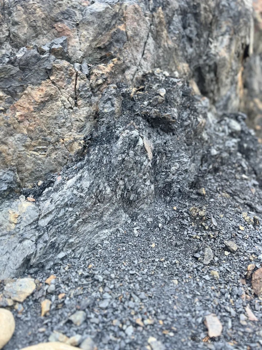 寻土之旅 | 福建师大美院姚莉芳教授带领研究生团队赴武夷山开展考察实践活动