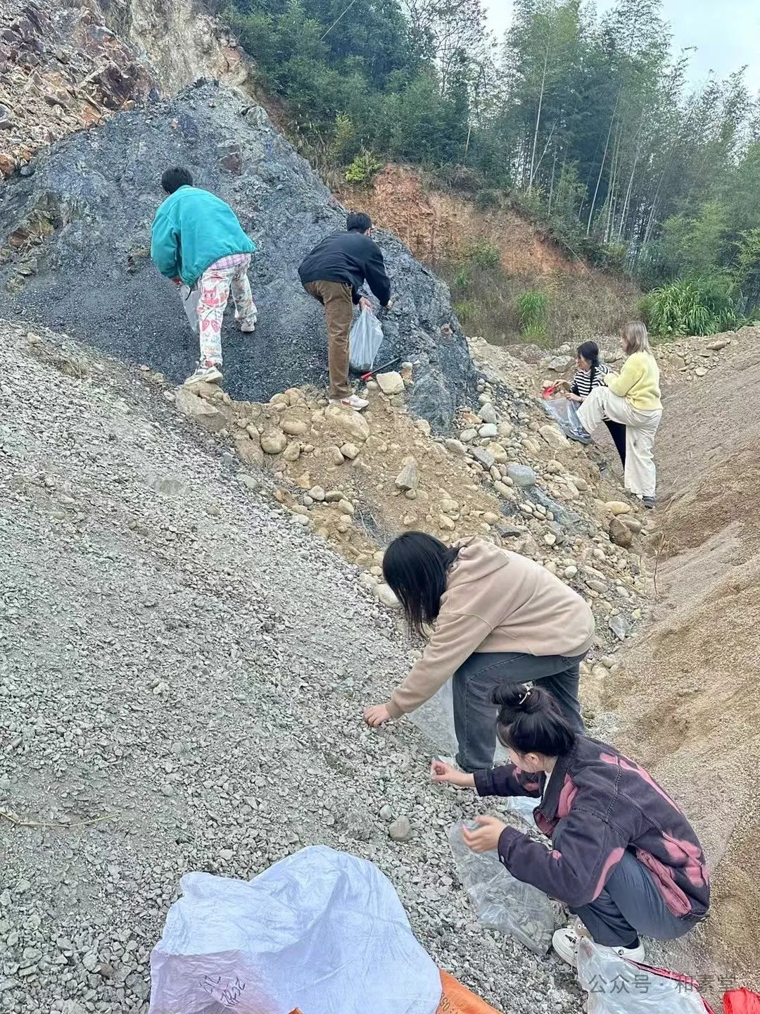 寻土之旅 | 福建师大美院姚莉芳教授带领研究生团队赴武夷山开展考察实践活动