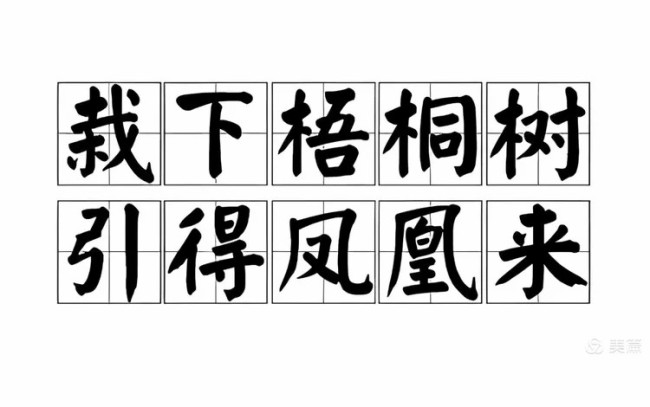 孙云早丨探究桃花源青岛城阳区社会福利中心老人入住率居高不下的奥秘