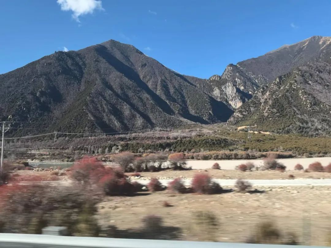 邓建强·西藏写生采风 | 淡墨湿笔晕染灵山秀水，色块线条勾勒人文大境