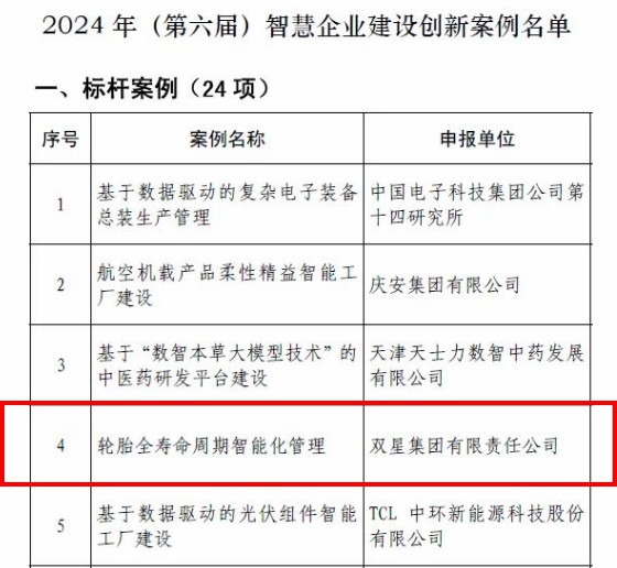 数智化标杆！双星行业内唯一入选2024年智慧企业建设创新案例名单