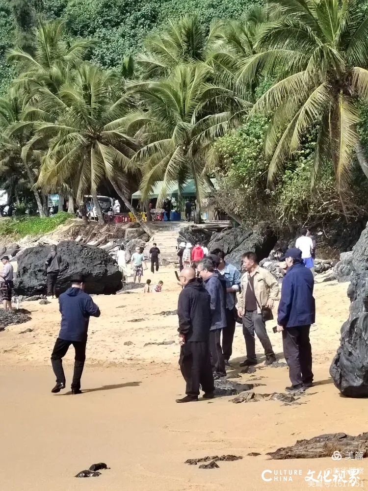 张伟觉圣·海口写生 | 写生的每一笔，都是内心情感的细腻流露与抒发