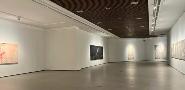 “隐者的面孔：党震绘画作品展”在西安崔振宽美术馆开展，展期至明年1月15日