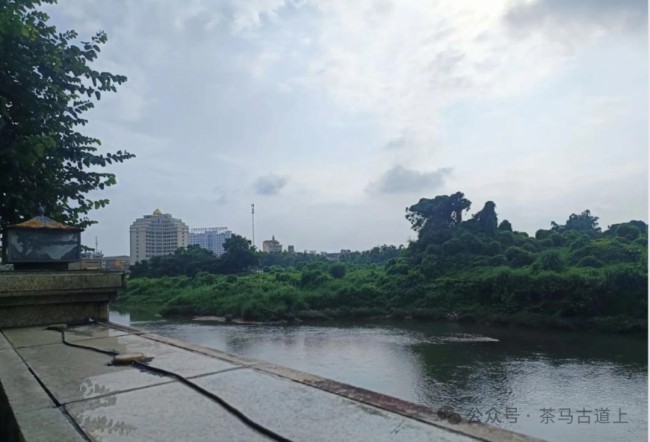 跟随舒建新走进口岸之城广西东兴，感受中越边境贸易的繁荣景象