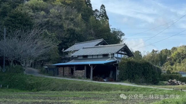 林容生·日本写生丨待来年春风再拂面，把酒且看，云脚乱蹒跚