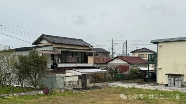 林容生·日本写生丨待来年春风再拂面，把酒且看，云脚乱蹒跚