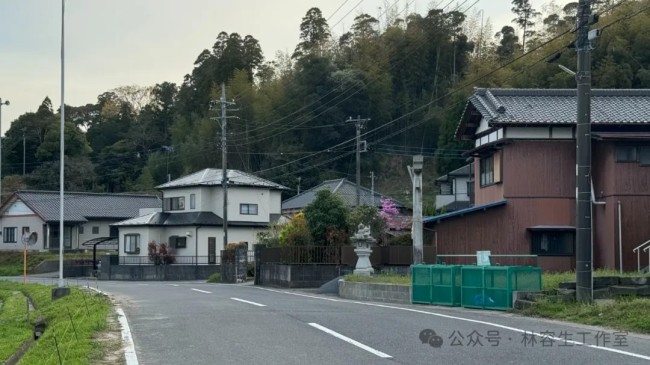 林容生·日本写生丨待来年春风再拂面，把酒且看，云脚乱蹒跚