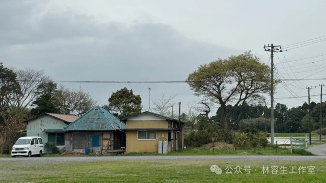 林容生·日本写生丨待来年春风再拂面，把酒且看，云脚乱蹒跚