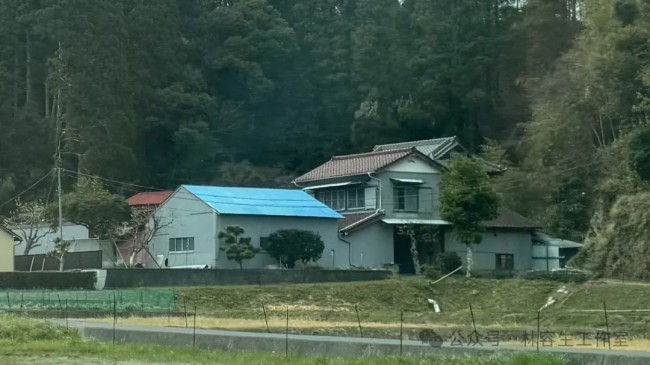 林容生·日本写生丨待来年春风再拂面，把酒且看，云脚乱蹒跚