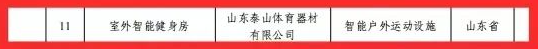 泰山体育室外智能健身房入选“2024年智能体育典型案例”