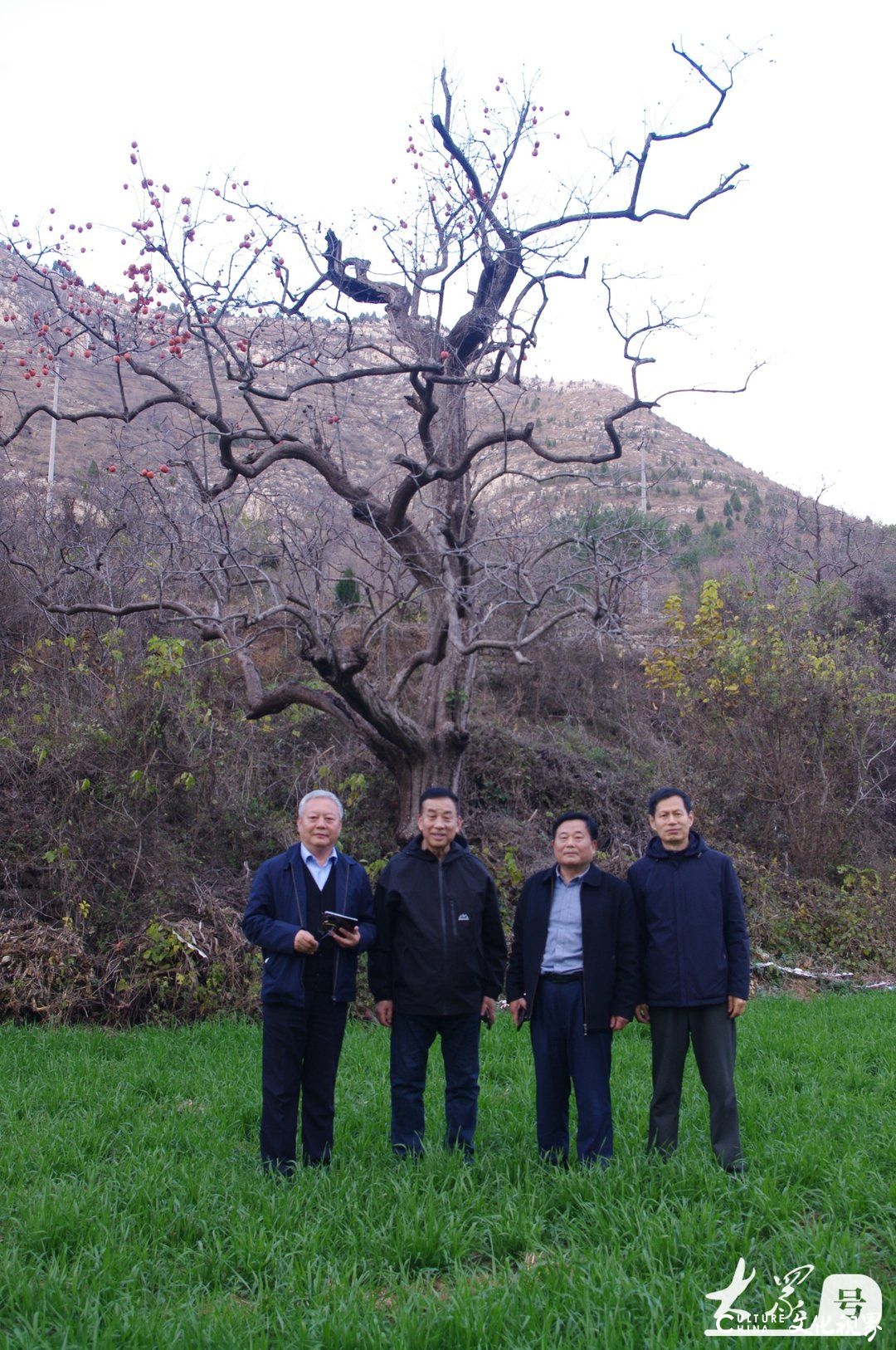 赵英水·潍坊临朐写生丨山山秋意浓，树树染柿红