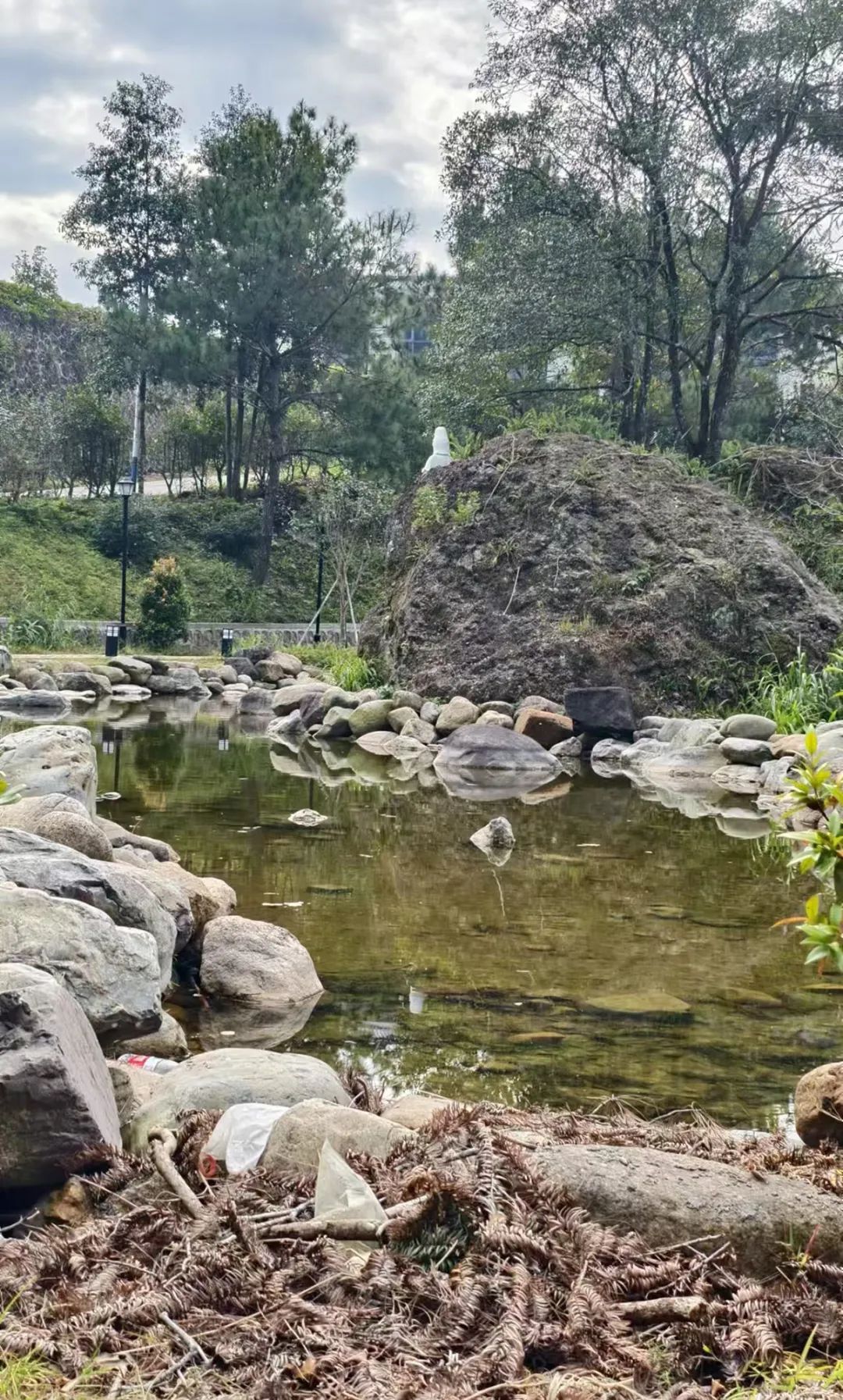 曾先国·漳州平和写生丨白云扶我穿霞过，水浸云山入井池