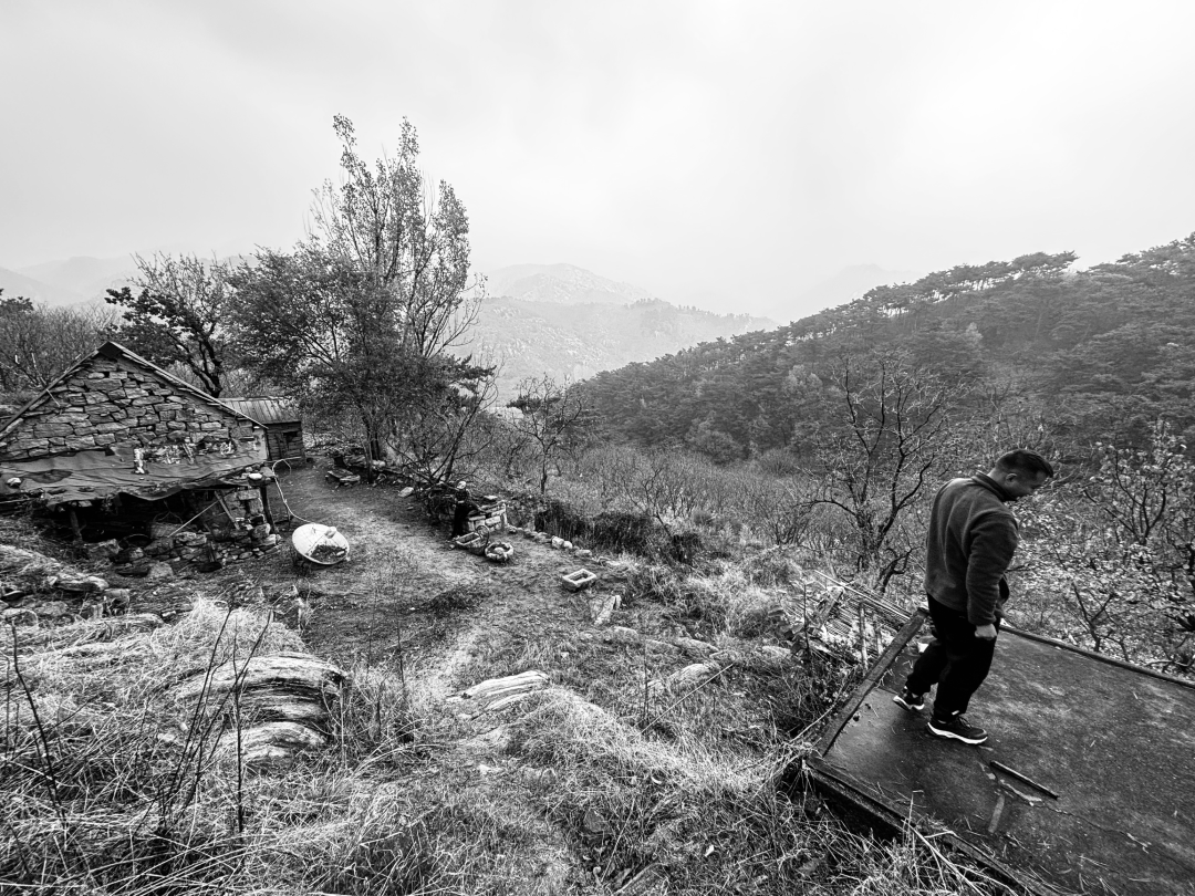 刘明杰丨葺理守拙草堂诗并序