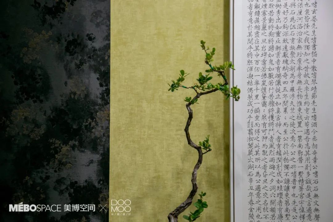 春节好眼福 | 三生缘焕新暨“东方既白——新东方主义客厅”第五回在青岛三生缘空间开展