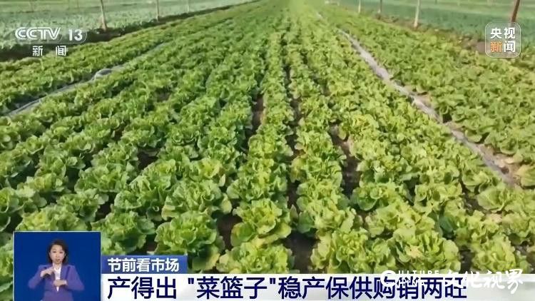 春节临近，央视记者提前探访“菜篮子”