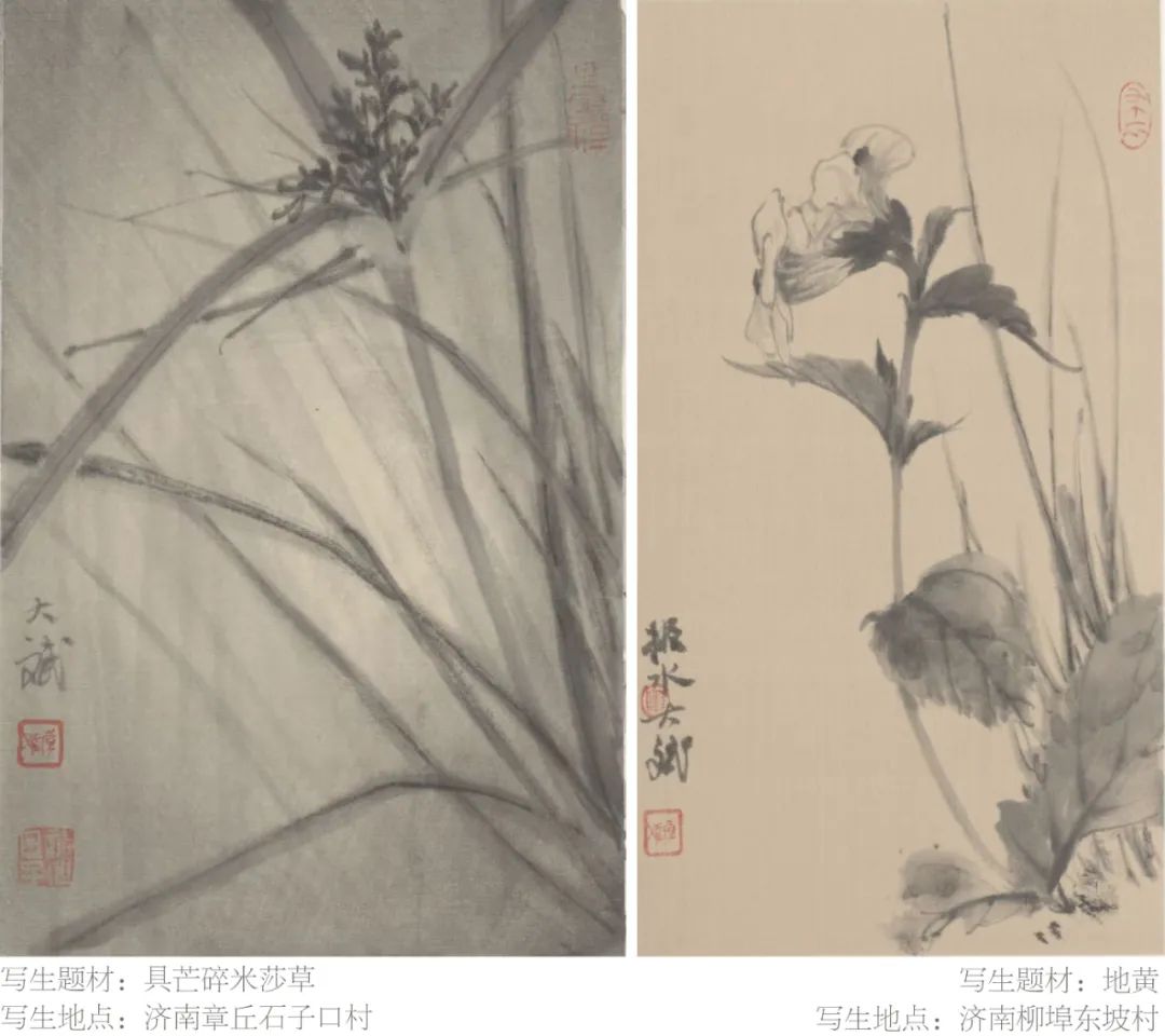 让小草们撒个小野 | “其野芃芃——韩斌写生百开册展”将于1月5日在济南京行艺术馆开展