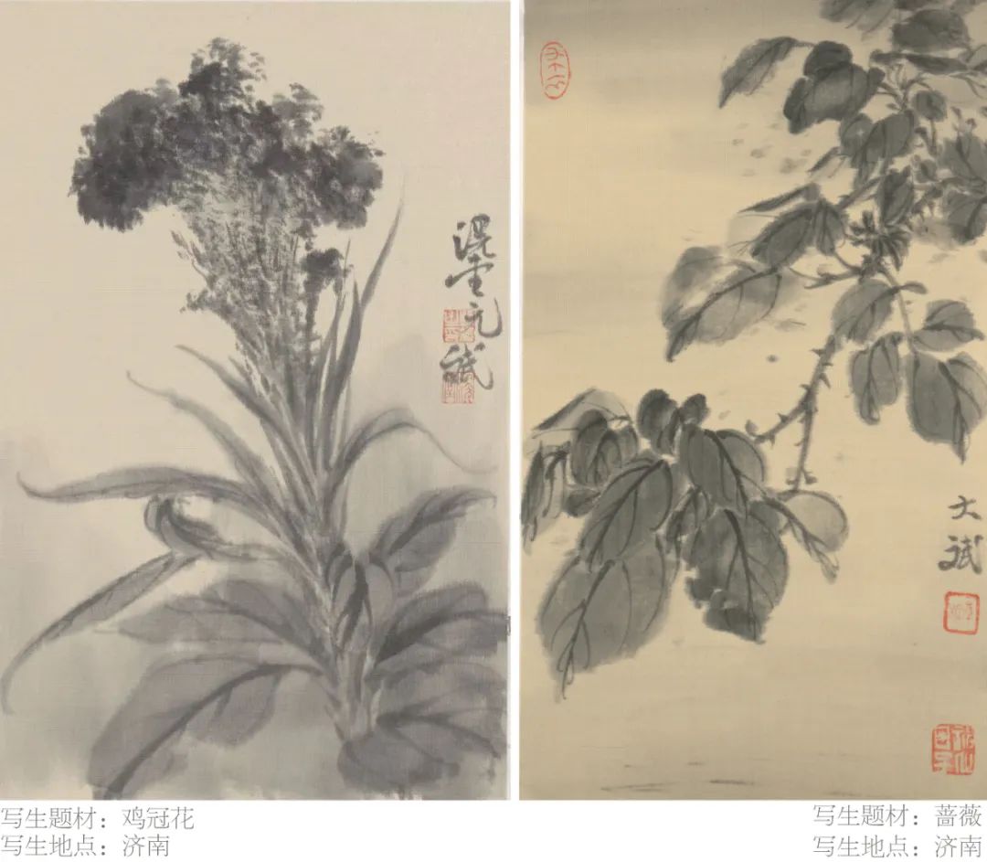 让小草们撒个小野 | “其野芃芃——韩斌写生百开册展”将于1月5日在济南京行艺术馆开展